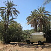 Repas de midi dans palmeraie de Zagora