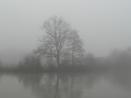 Dans le brouillard ( 2 )