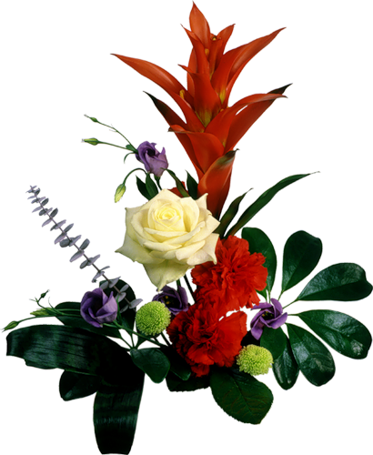 Fleurs ( bouquets ou compositions ) 3
