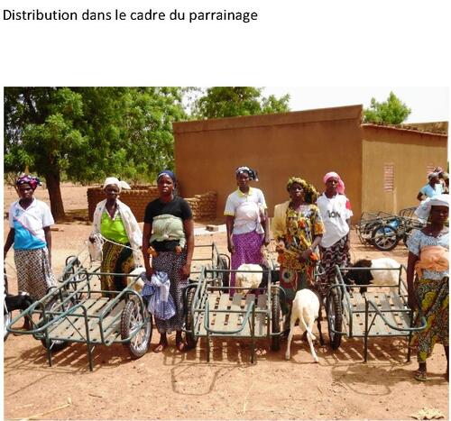 distribution de charrettes à eau et de moutons