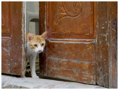 La Kasba de Tunis.