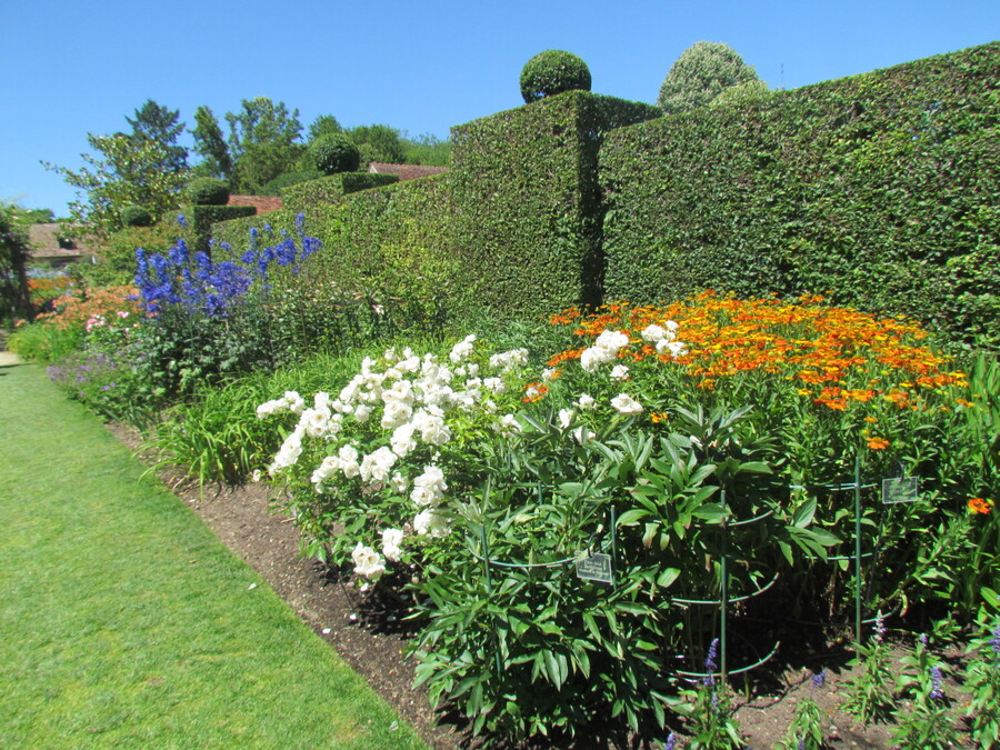 APREMONT SUR ALLIER ET SON PARC FLORAL .  Première partie .