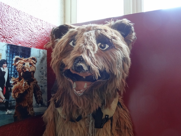 "El Dia dels Óssos", la fête de l'Ours en Vallespir...