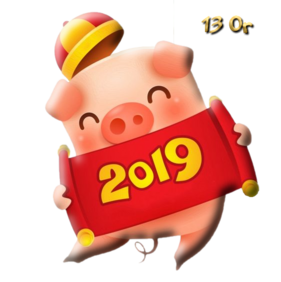 2019 Année du Cochon