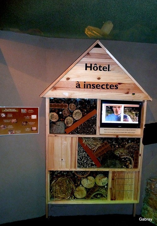 V05 - Hôtel à insectes