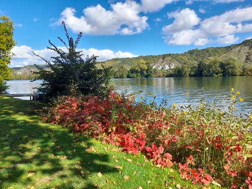 Tournedos sur Seine