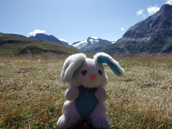 Mascotte en montagne