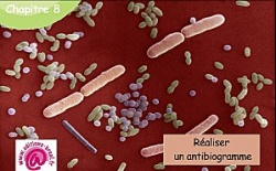 1: les micro-organismes et le risque infecteux