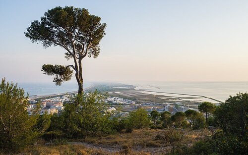 Etang de Thau (Languedoc-Roussillon)