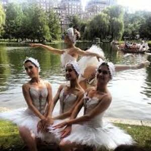 dance ballet park swan lake ballet 