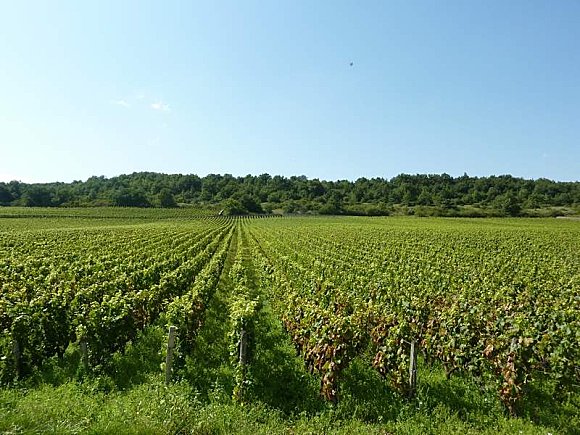 20110823 Bourgogne sur la route des vins 10