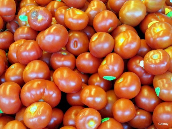 V02 - Tomates