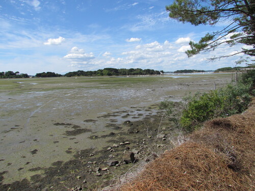 Balade en Bretagne sud-ouest (1).