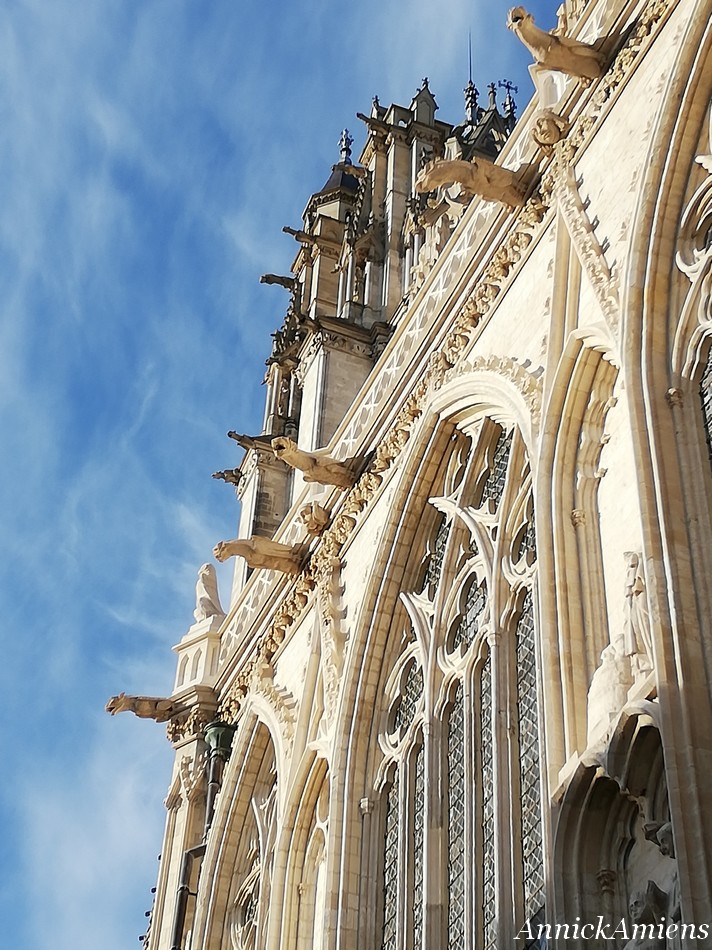 La Chouette de la Cathédrale d'Amiens