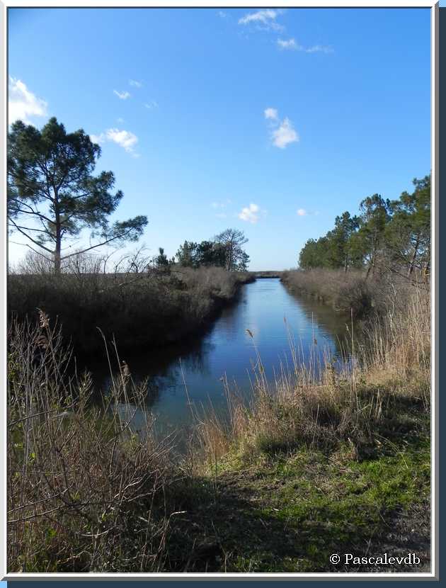 Le sentier du littoral au Teich