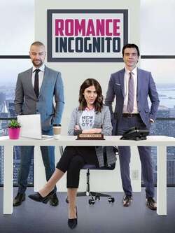 Affiche du film « Romance Incognito »