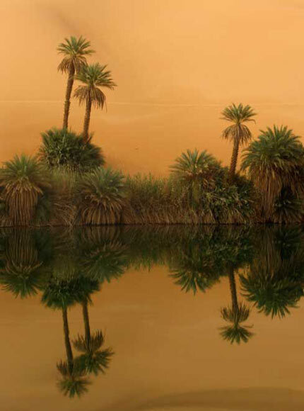 Oasis dans le Sahara