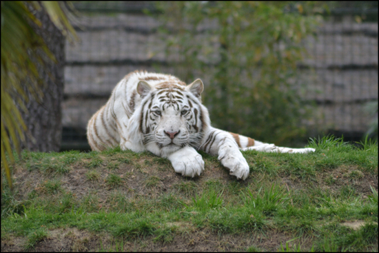 La Flèche Zoo