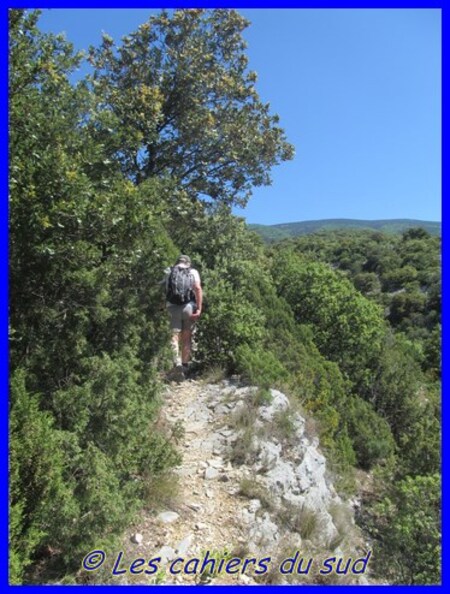 La combe de Curnier, combe de Bouisse