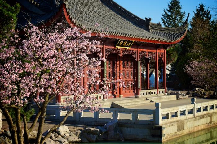 Le Murmure Du Ruisseau Chinois (Christiane Desjardins La Presse)