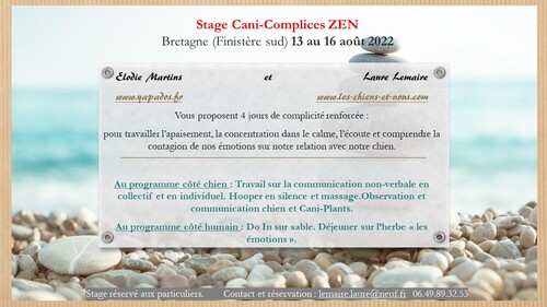 stages Cani-Complices 2022
