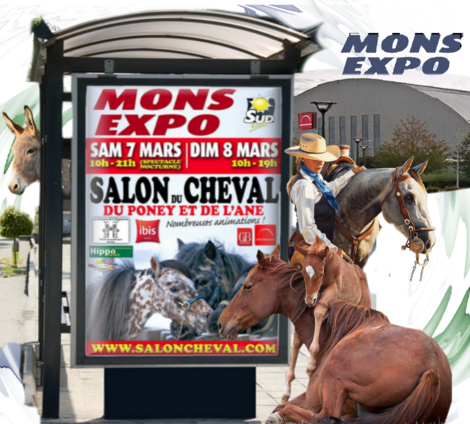 mons, be, lotto expo, salon de l'âne, cheval et poneys, mars 2015,manége, demonstrations