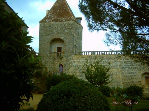 le château des Benauges (arbis) gironde