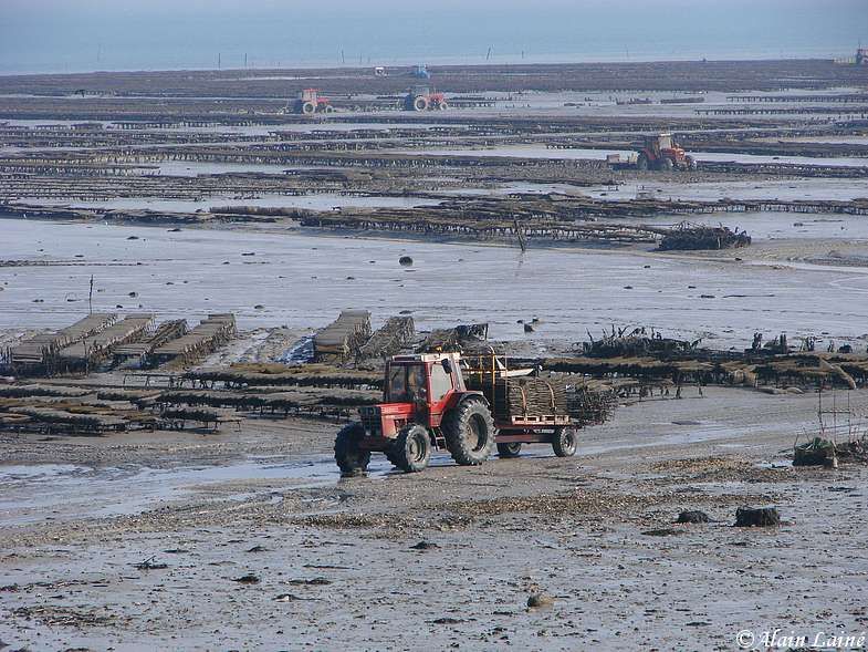 Cancale_25Fev09_16