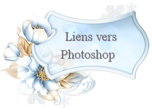 Vers Photoshop