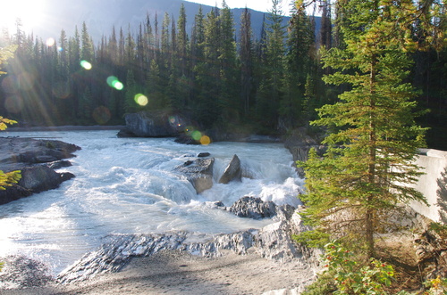 Jour 5 de Golden à Hinton