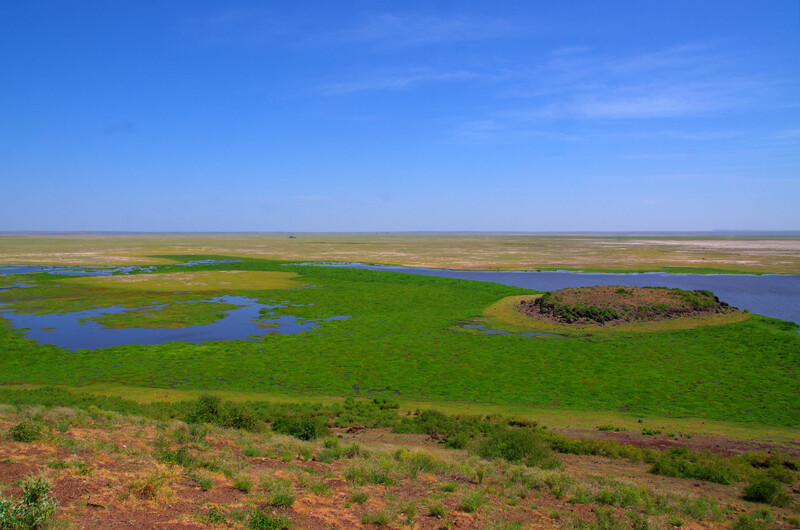 Kenya #7 - Safari