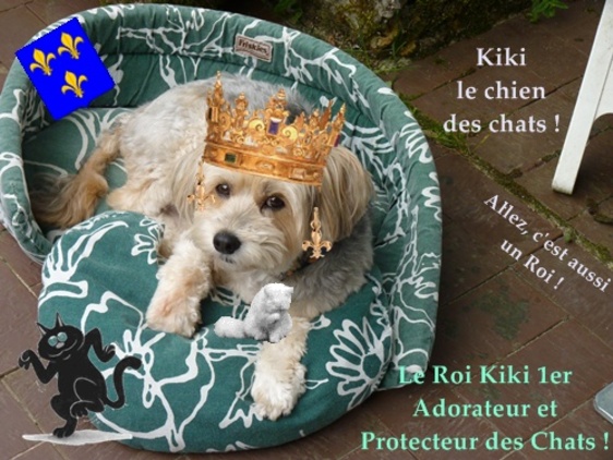 L'histoire de Kiki (suite n° 2 et fin)