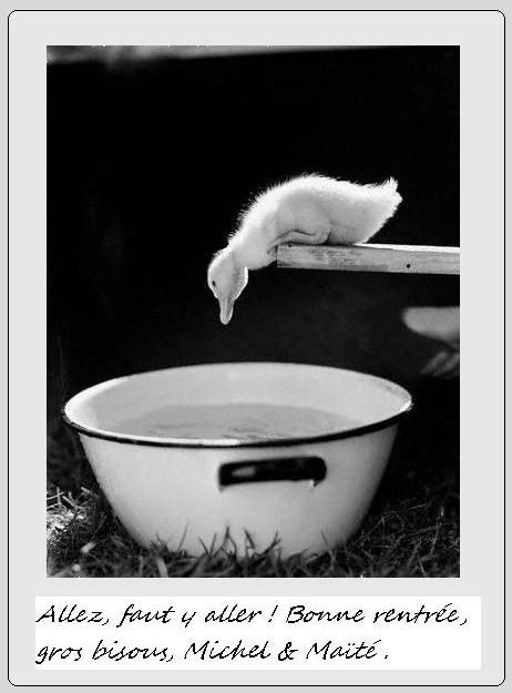 Mes cré'images 2010 .