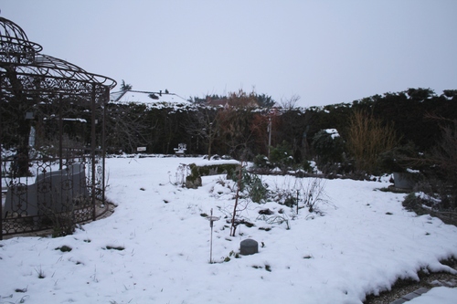 le jardin en blanc
