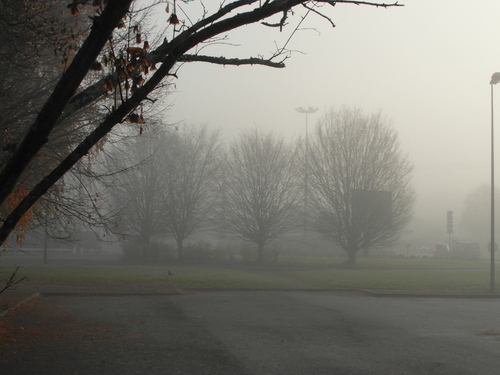 Promenade dans la brume  et brouillard sur la campagne