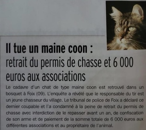 2019 : méfaits de la mafia de la chasse