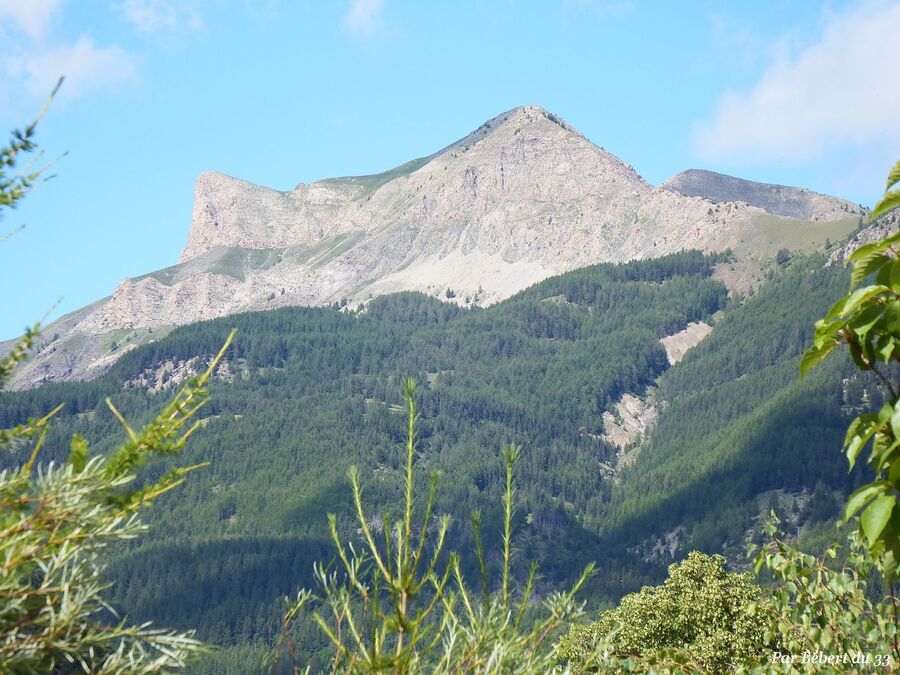 Colmar des Alpes dept 04 (3)