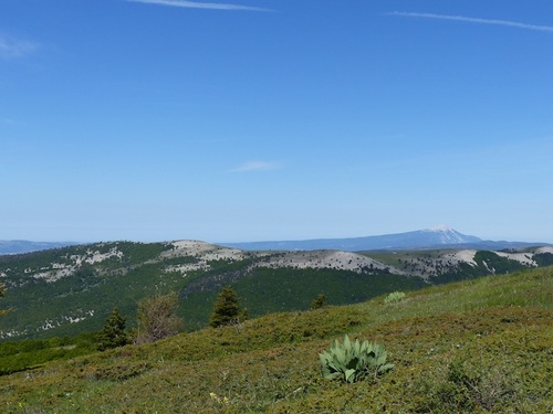 Le Contras (montagne de Lure)