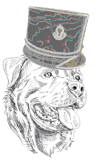 Une bannière avec Paint Shop Pro