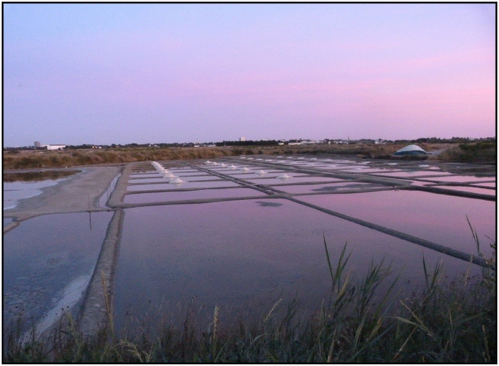  les marais salants de Guérande au crépuscule 