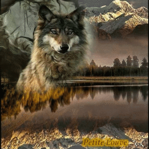 ♥ mon ptit loup adoré ♥