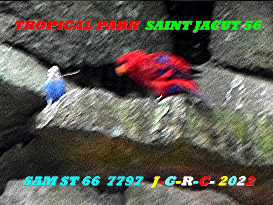 TROPICAL PARK  SAINT JACUT 56 5/10  D  28-02-2023