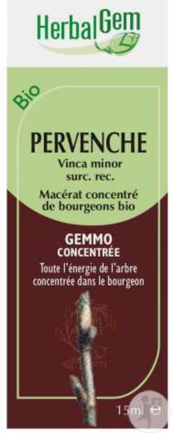 Vertus médicinales des plantes sauvages : Pervenche