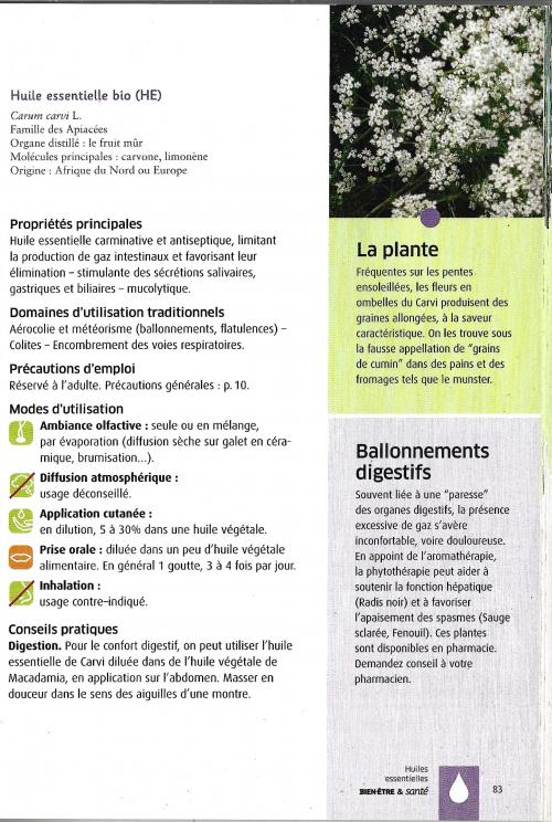 Le Carvi