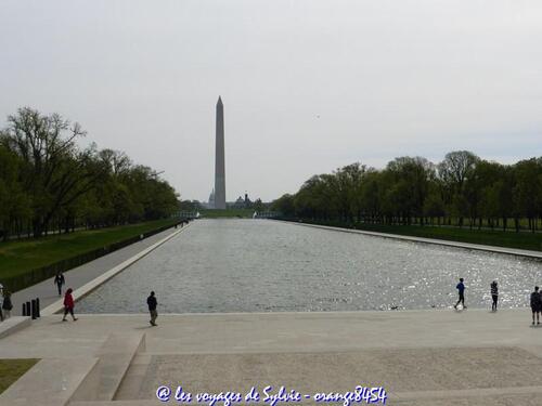 USA - Washington Monument 