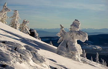 Froid glacé ... 