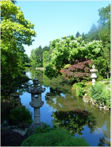 Le jardin Oriental de Maulevrier 