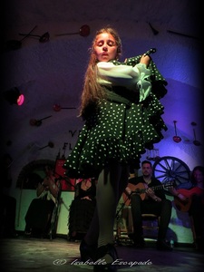 1er Mai 2015 - The Flamenco show... comme disent les Espagnols