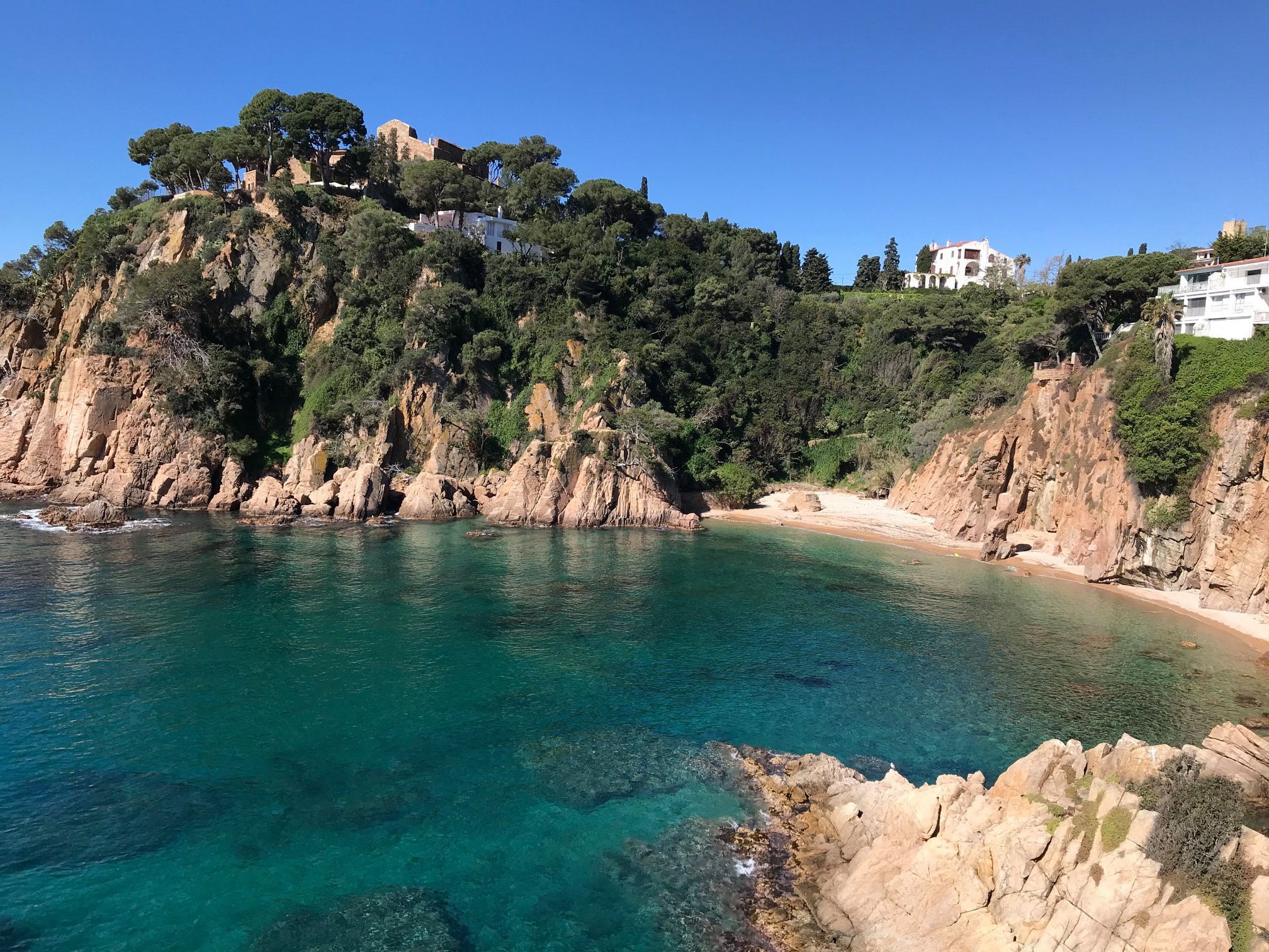 Peut être une image de Camogli
