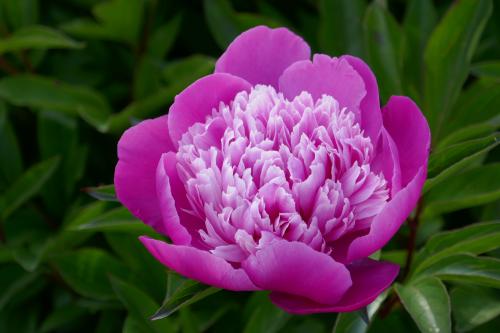 Le cartoscope du dimanche 7 avril 2024